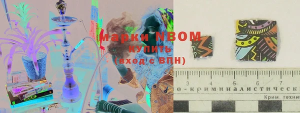 стаф Семёнов