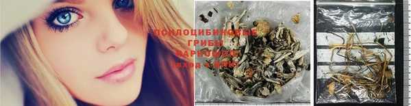 прущие грибы Семилуки
