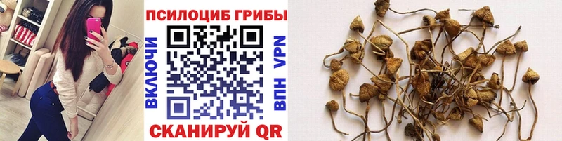 Галлюциногенные грибы ЛСД  Любим 