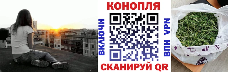 Бошки Шишки семена  Любим 